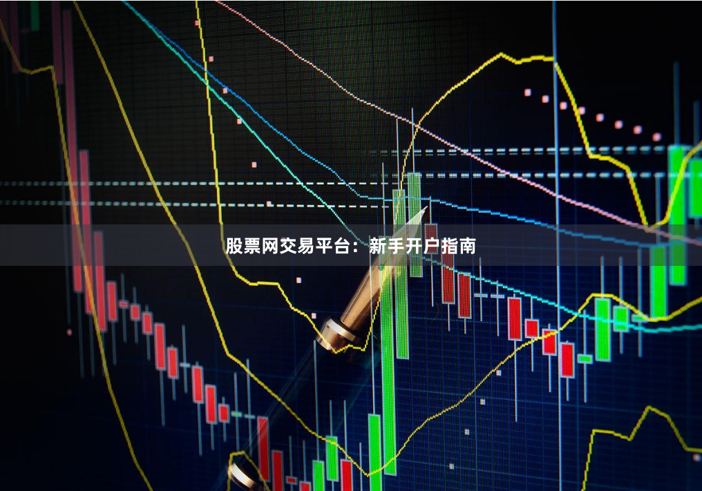 股票网交易平台：新手开户指南